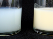 Foremilk and Hindmilk samples of human breast milk