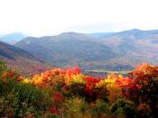 English: the forests in new hampshire in autumn