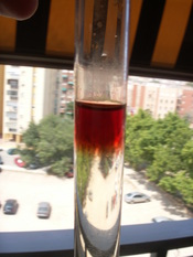 Litmus in hydrochloric acid colores red.