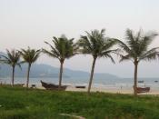 English: Palm trees along Non Nuoc beach in Da Nang.