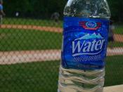 Publix bottled water with a baseball game in the background.