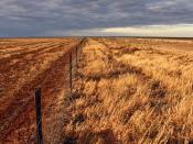 Drought on the Hay Plain.