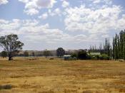 English: Drought-affected paddock in North Wagga.