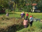 Bahasa Melayu: Gotong-royong di sawah padi