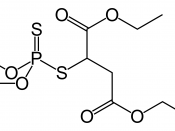 Malathion, an organophosphate anticholinesterase