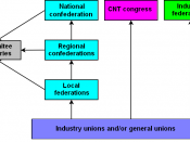 organization structure of the CNT