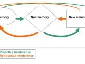 English: graph chart about proactive and retroactive memory interference
