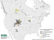English: Distribution of Chronic Wasting Disease in the North America in April 2007