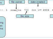 English: A Unix file listing showing file permissions