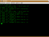 Screenshot von chmod (GNU coreutils)