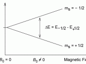 Splitting of nuclei spin states in an external magnetic field