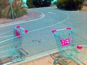 two shopping trolleys an example of the imagery used in the online Game DBOLRL