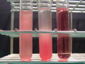Hemolysis. (left: without hemolysis) red blood cell suspension (0.5% sheep RBCs in saline), seems red and opaque. (middle: without hemolysis) RBCs sedimented spontaneously for 60 min. Note that the supernatant is not colored. (right: hemolysis) RBC suspen