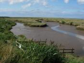 English: Tidal creek Looking over the outlet sluice from Stiffkey Fen. Water is released at low tide through a one-way outlet so that the fresh marsh is not flooded with salt water at high tide.