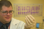 A U.S. Customs and Border Protection chemist reads a DNA profile to determine the origin of a commodity.