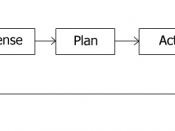 Hierarchical Paradigm schema