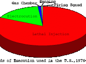 English: Chart showing methods of execution in use in the United States 1976-2004, created by from data on Capital punishment in the United States