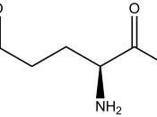 Chemical structure of monosodium glutamate de:Bild:Natriumglutamat.png pl:Grafika:Msglu.png