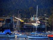 English: Monterey Harbor and Fisherman's Wharf, Monterey, CA