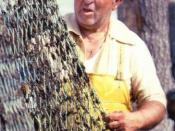 Long Island fisherman, 1983