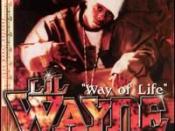 Way of Life (Lil Wayne song)