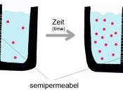 A semipermeable membrane separates two compartments of different solute concentrations: over time, the solute will diffuse until equilibrium is reached.