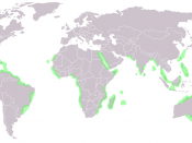 World Map of Mangrove distribution Français : Carte mondiale de la répartition géographique de la mangrove