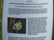 English: Blue Tit Research Project Information about a project to study the behaviour of blue tits on Craigie Hill and on the Dalmeny Estate 1306399..