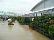 English: Christmas tree sales About the only things selling from the outdoor area at Homebase, Cheltenham.