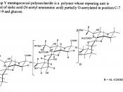 English: N. meningitidis group Y polysaccharide structure