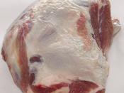 English: Unfrozen lamb meat (lamb shoulder)