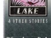 Greasy Lake & Other Stories