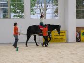 English: Therapeutic horse riding on the Medical fair Brno Česky: Ukázka hipoterapie na veletrhu HOSPIMedica v Brně