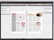 Deutsch: E-Paper-Funktion auf ZWP online
