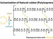 Vulcanizzation of natural rubber