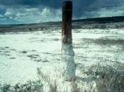 Salt-affected soils are visible on rangeland in Colorado. Salts dissolved from the soil accumulate at the soil surface and are deposited on the ground and at the base of the fence post.