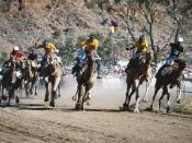 Camel Cup, Alice Springs
