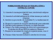 Español: Posibles estrategias en la terapia génica, para la cura del cáncer.
