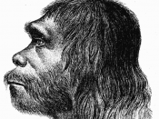 English: First reconstruction of Neanderthal man Español: Primera reconstrucción del Hombre de Neandertal