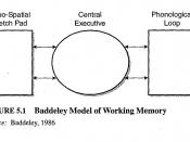 Baddeley's Model of Working Memory