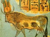 English: The sacred Apis bull shown on a Twenty-first dynasty Egyptian coffin.