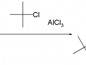 Example of steric protection in Friedel-Crafts alkylation