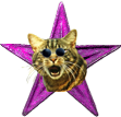 English: Jaakobou's Cool Cat Barnstar. To be awarded for exceptional ability to remain cool when faced with adversarial approach on Wikipedia.