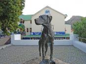 The statue of Just Nuisance, Simon's Town, South Africa
