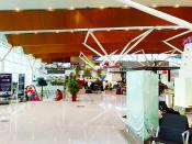 New Delhi Airport Terminal 1D