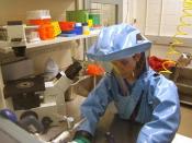 English: Biosafety level 4 hazmat suit: researcher is working with the Ebola virus