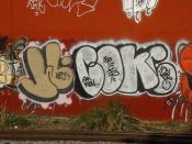Graffiti: WASH (W.) and COKE