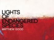 Lights of Endangered Species