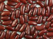 Picture of red kidney beans