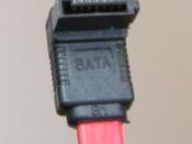 A 7-pin SATA data cable.